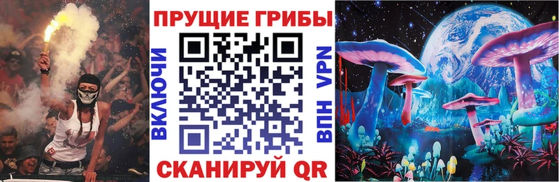 Купить где  Данилов  Галлюциногенные грибы ЛСД 